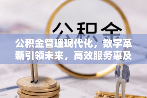 呈贡公积金管理现代化，数字革新引领未来，高效服务惠及民生