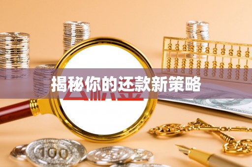 呈贡揭秘你的还款新策略