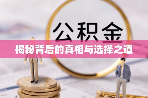 呈贡揭秘背后的真相与选择之道