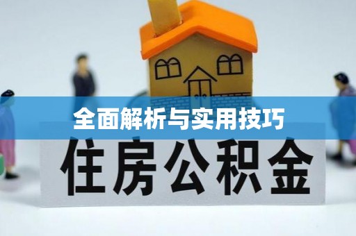 呈贡全面解析与实用技巧