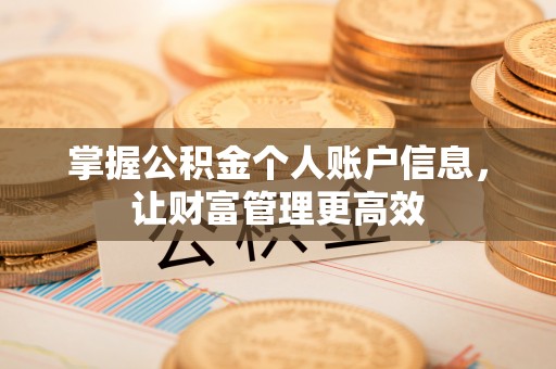 呈贡掌握公积金个人账户信息，让财富管理更高效