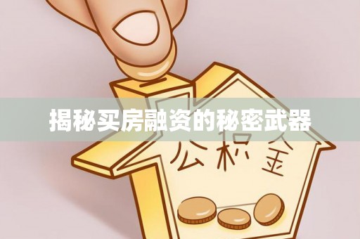 呈贡揭秘买房融资的秘密武器