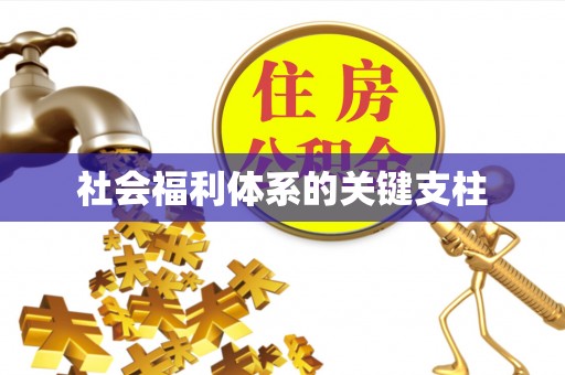 呈贡社会福利体系的关键支柱
