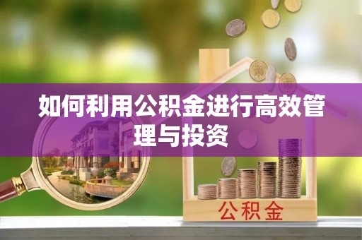 呈贡如何利用公积金进行高效管理与投资