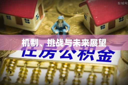 呈贡机制、挑战与未来展望